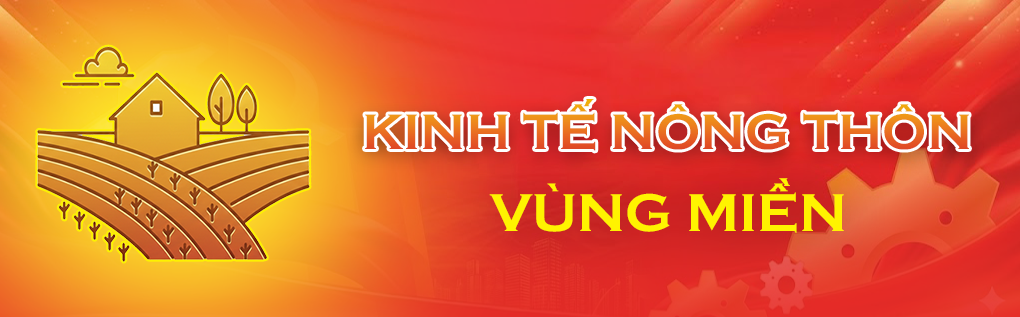 Kinh tế nông thôn – Vùng miền